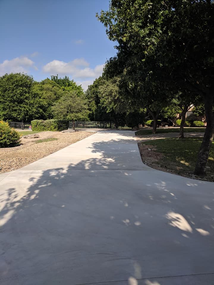 Concrete path lined with trees, sunny day.