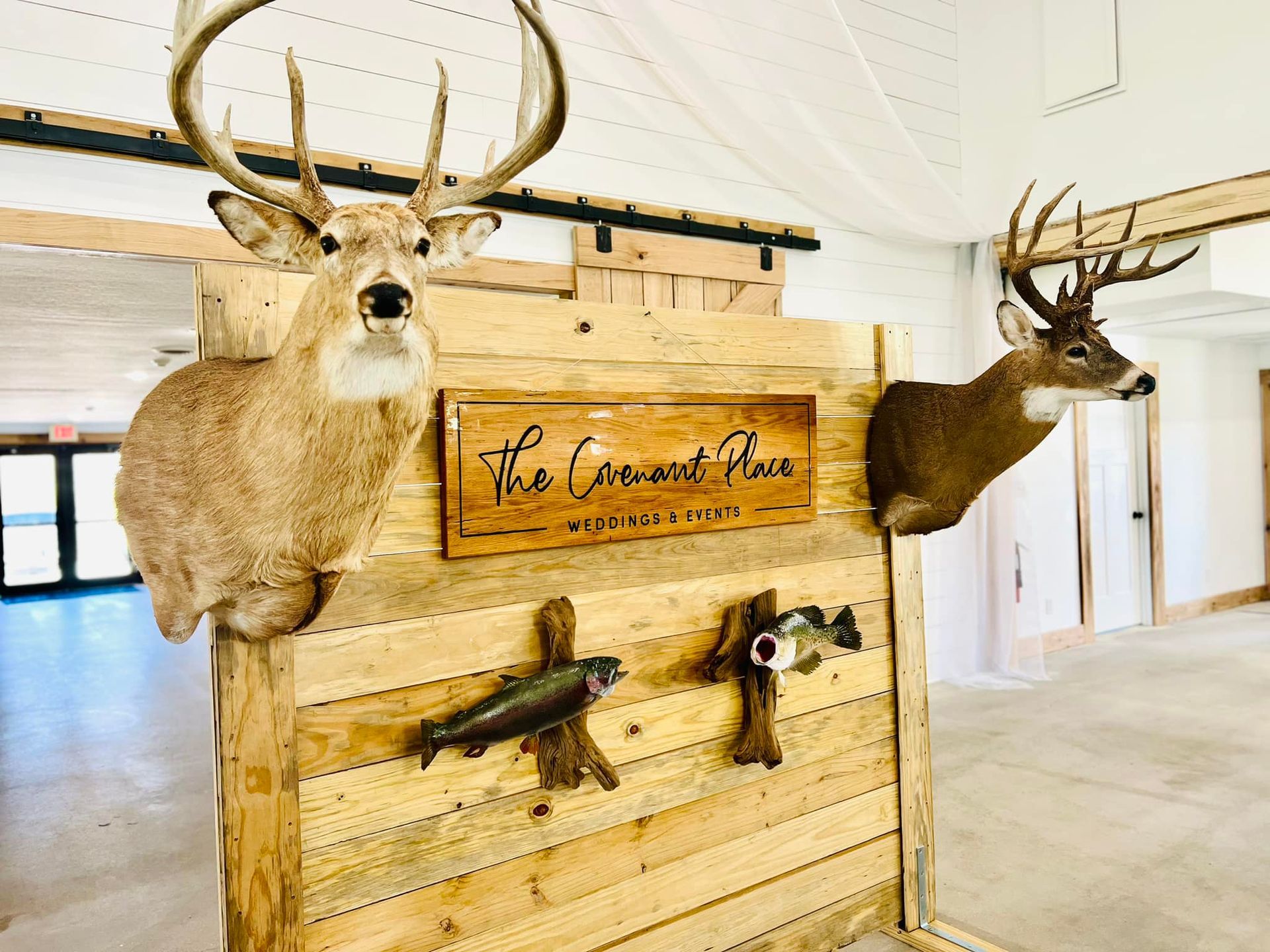 A deer and a fish are mounted on a wooden wall.