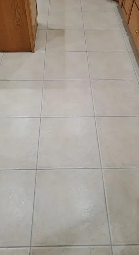 A close up of a tiled floor with a white grout.