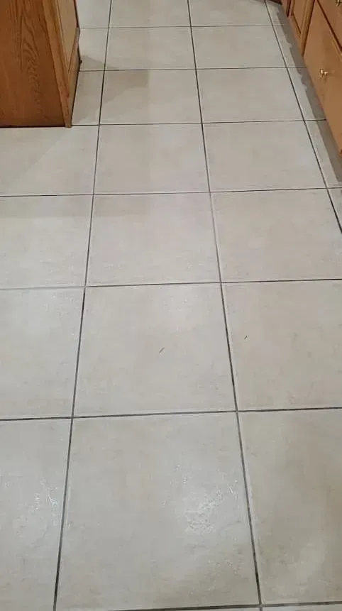 A close up of a tiled floor with a blue border