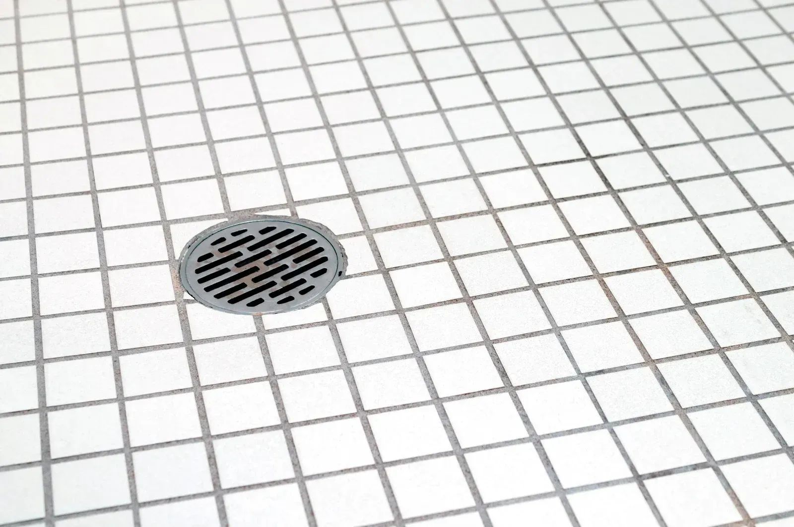Shower floor with white square tiles and a metal drain.