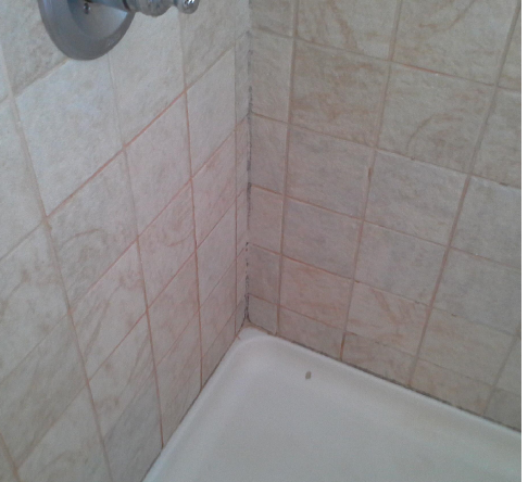 A shower stall in a bathroom with tiled walls