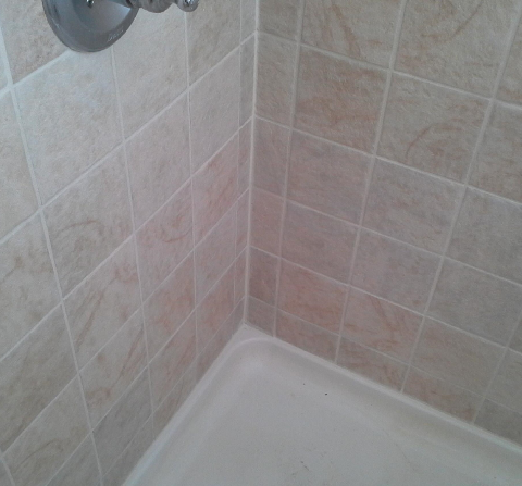 A shower stall with tiled walls and a shower head.