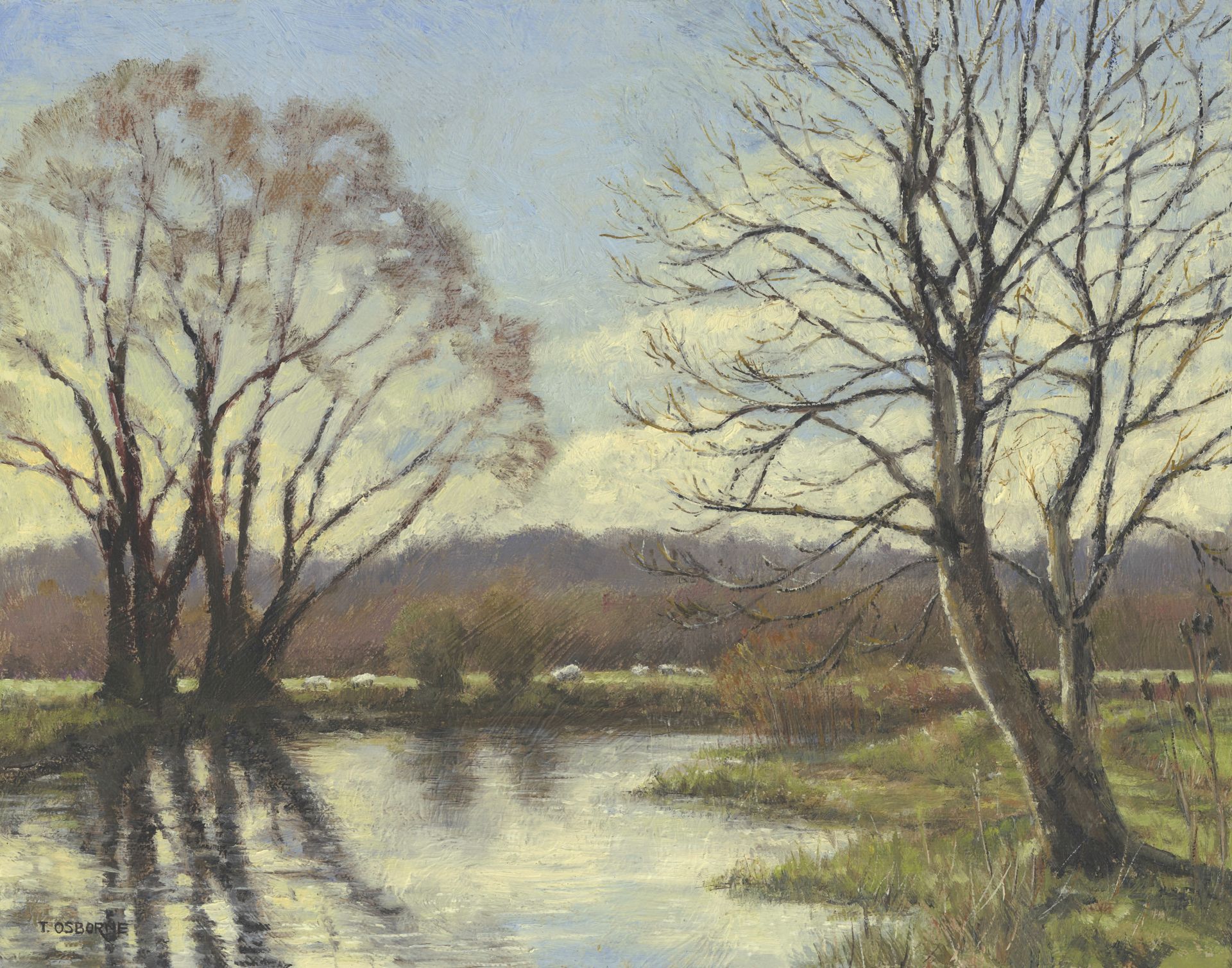 English Landscape painting. Sheep graze in the distance on the green sunlit meadow. 
Blue skies with pale yellow sunlight shining through majestic trees, casting their reflections over the 
water. Copyright Tricia Osborne. Original plein-air oil painting on board.