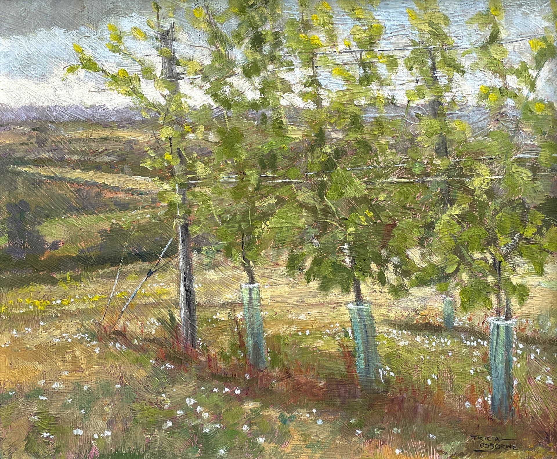 English Landscape painting. Rows of vines at The Rutland Vineyard in Ketton, Stamford, on a dull overcast day.
Copyright Tricia Osborne. Original plein-air oil painting on board.
