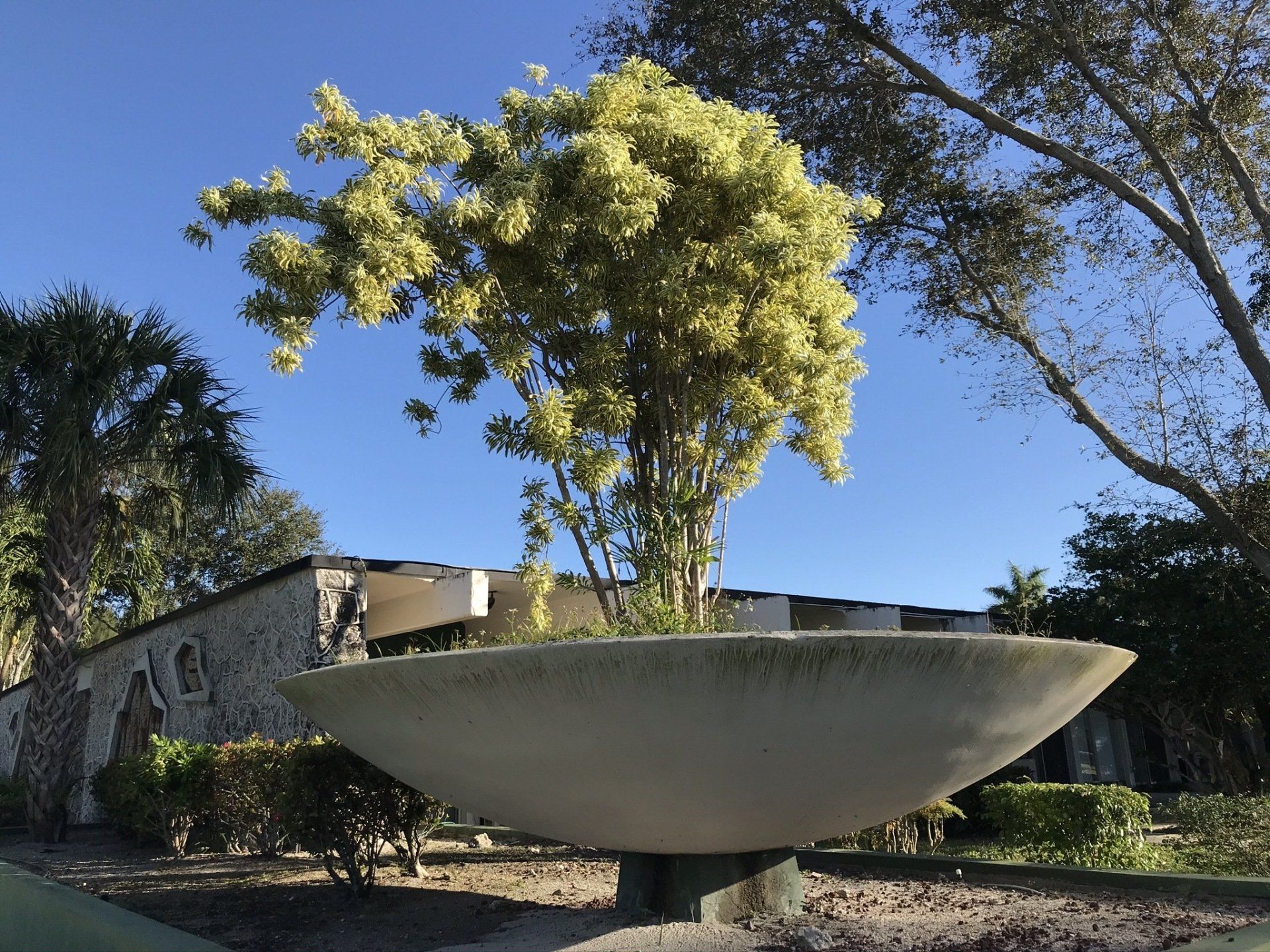 A large bowl with a tree in it in front of a house
