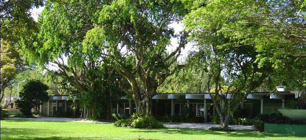 A house with a lot of trees in front of it
