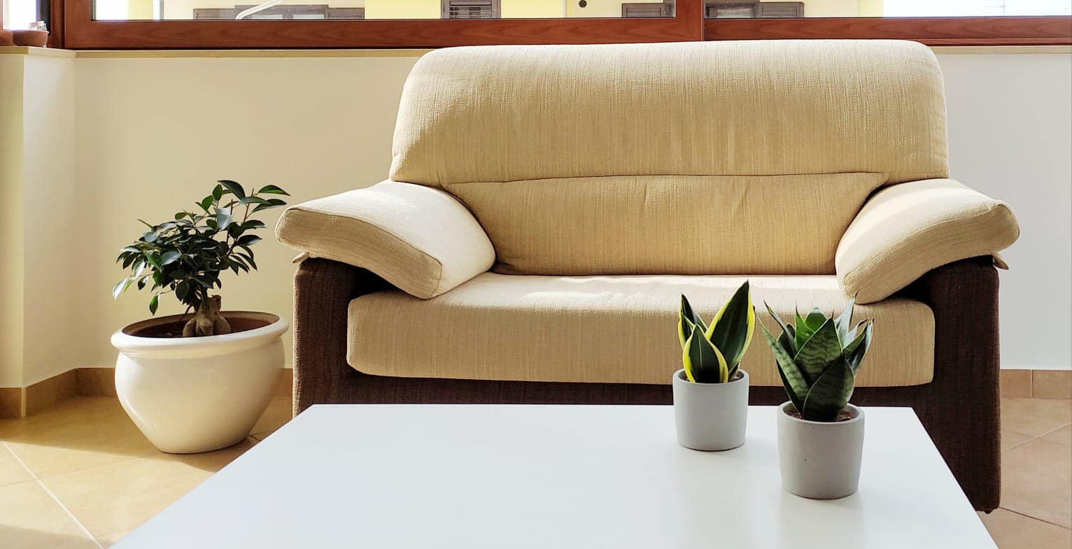 divani arredi delizia