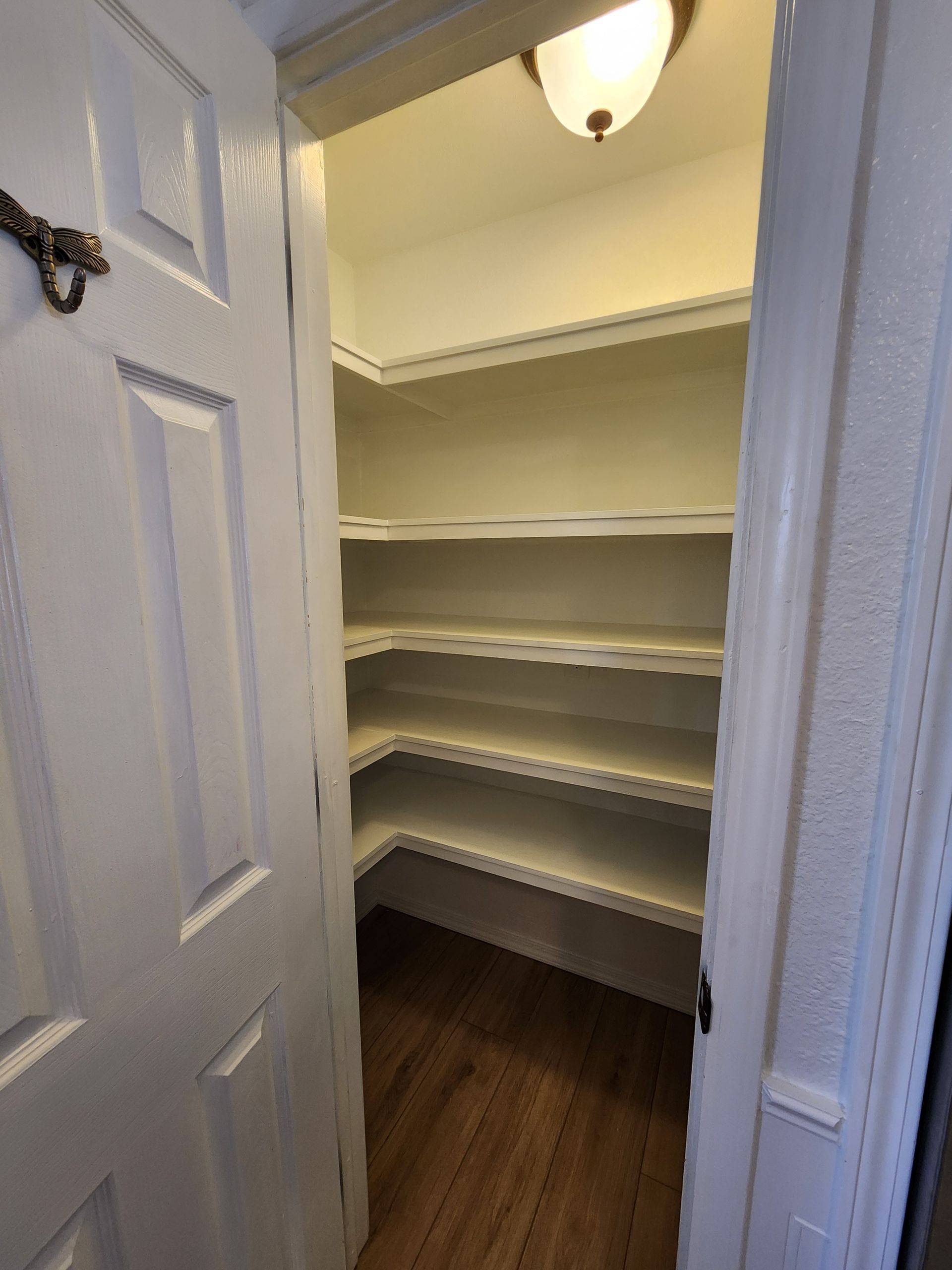 White pantry with built-in shelves. Door is ajar, showing an empty, organized storage space.