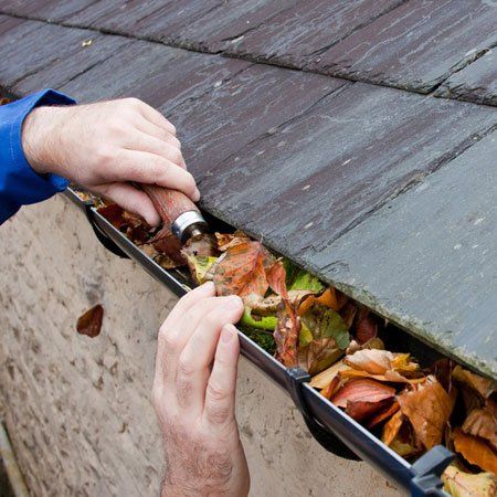 Gutter Cleans