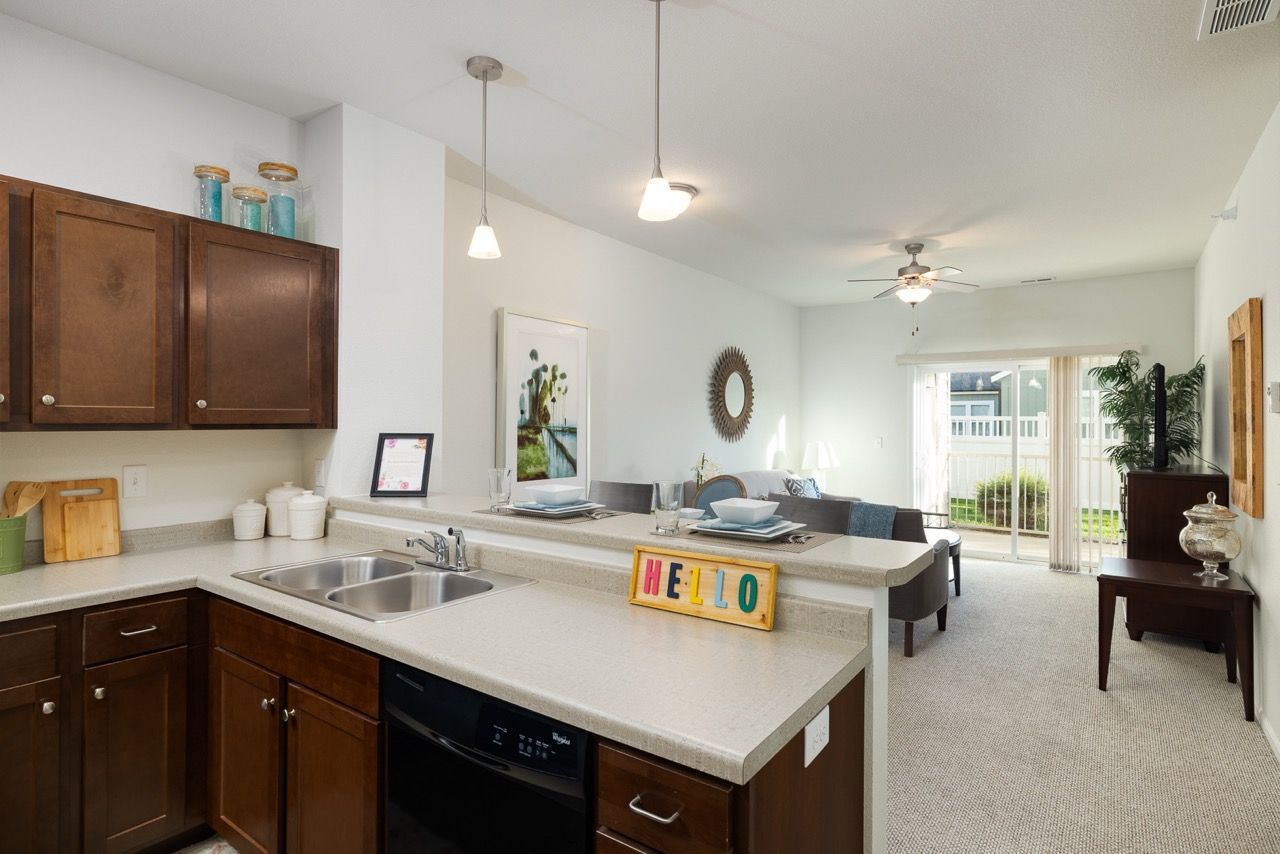 Open-concept kitchen and living area in an apartment with dark wood cabinets.