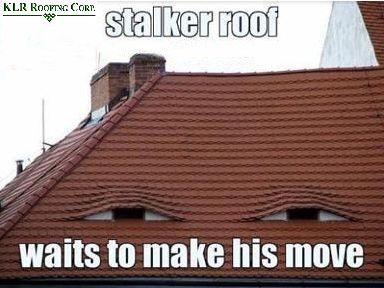 funny roofer memes