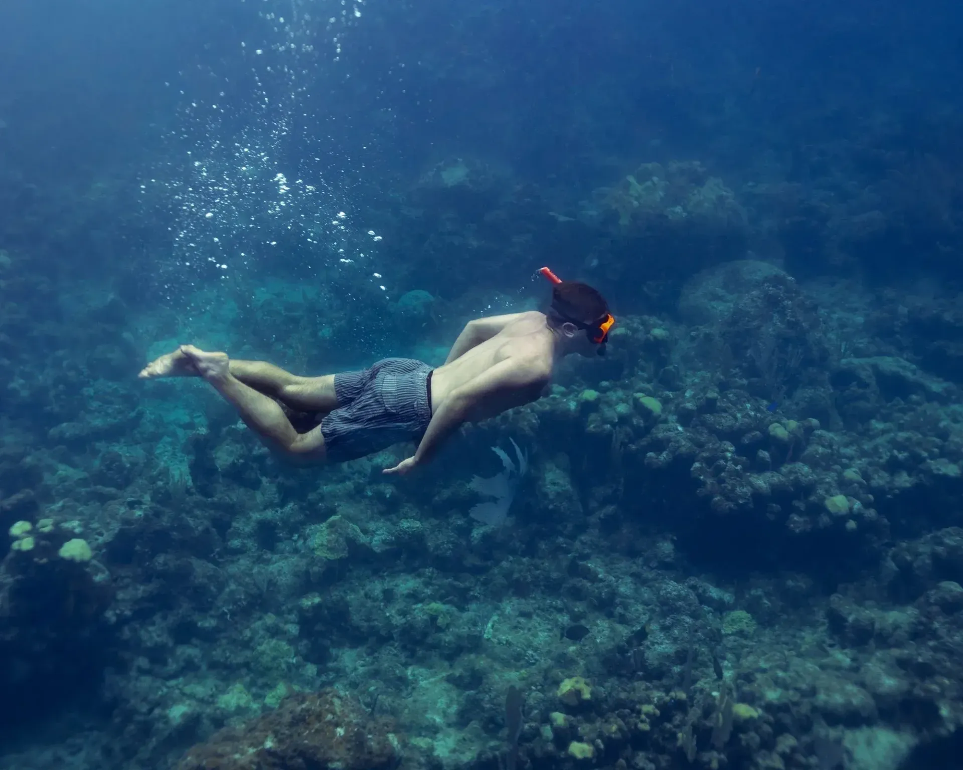 A snorkeler swims underwater above a coral reef, with bubbles trailing behind.