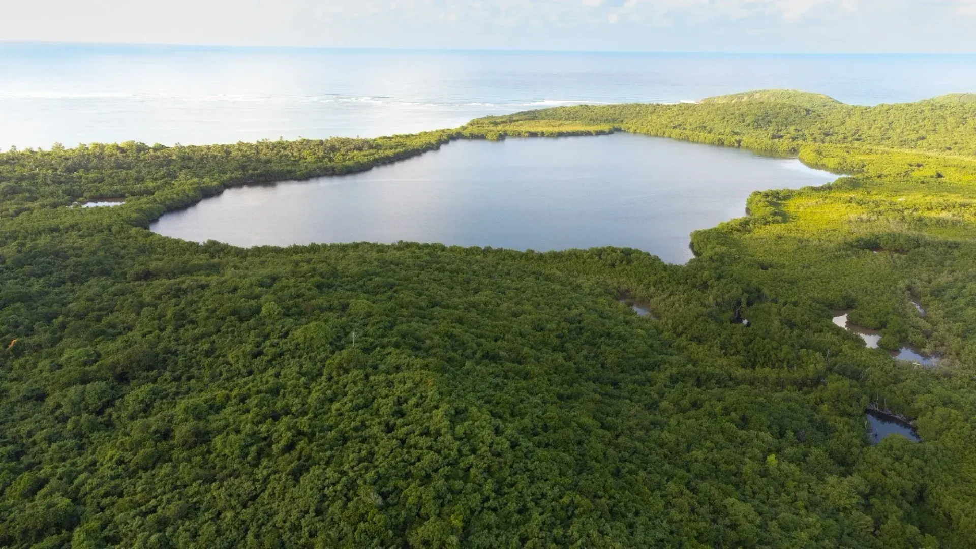 Aerial view of a coastal lagoon surrounded by dense green forest and blue ocean.