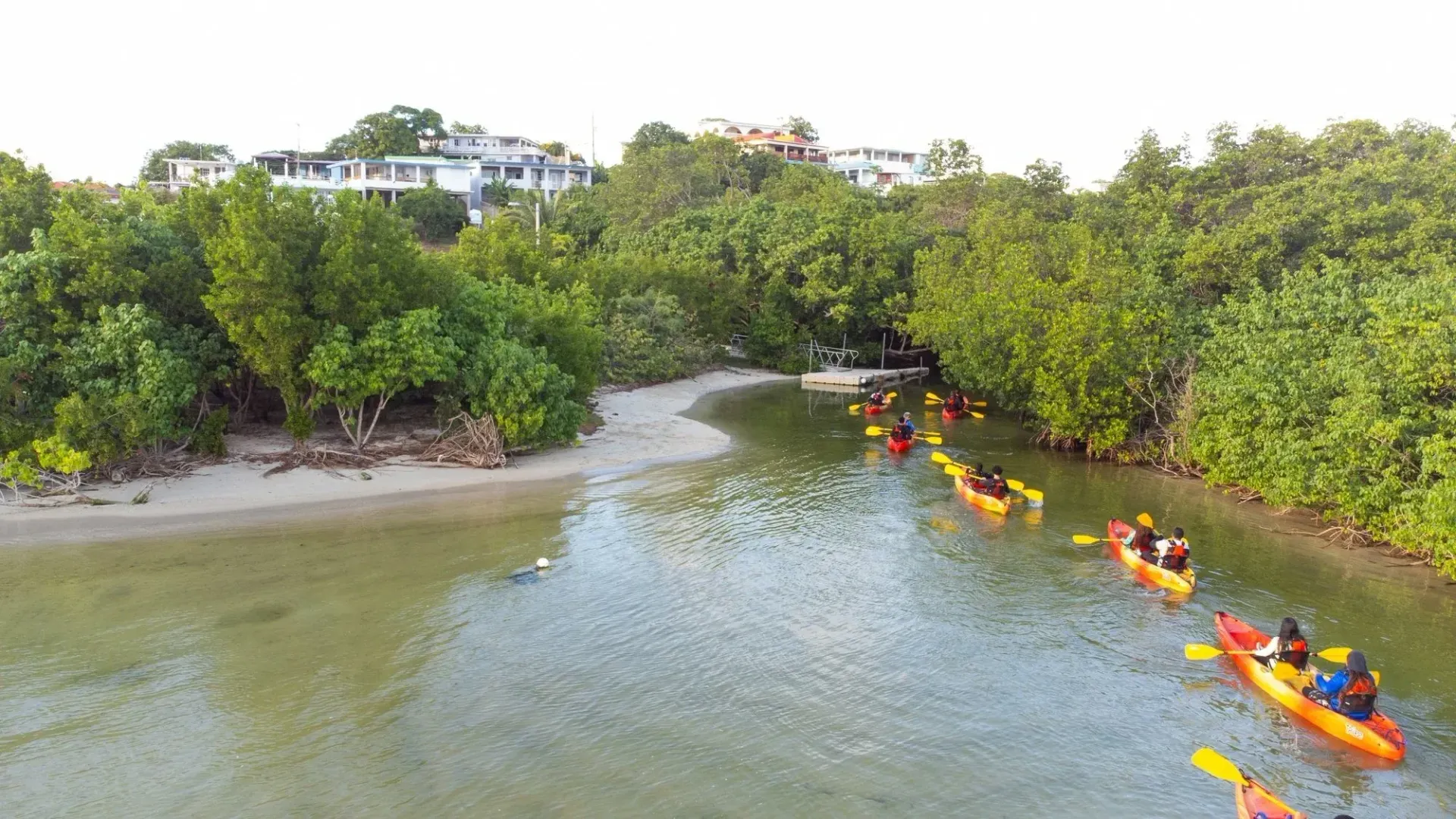 Kayaks paddling through a mangrove-lined river beside a sandy shore
