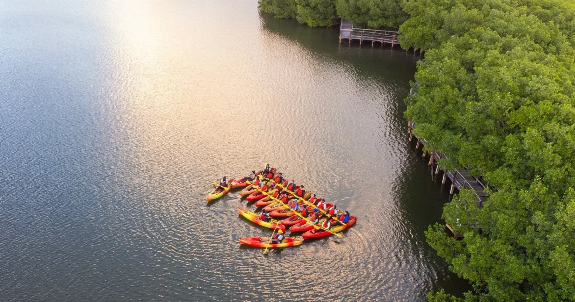 Aerial view of a group of kayaks in a calm river beside dense green mangroves