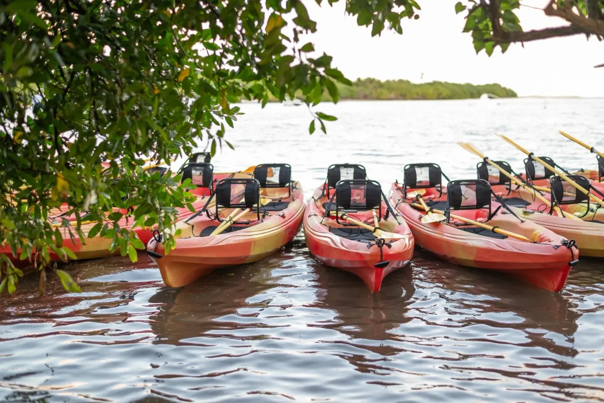 Three red kayaks on a lake shore beside trees and calm water