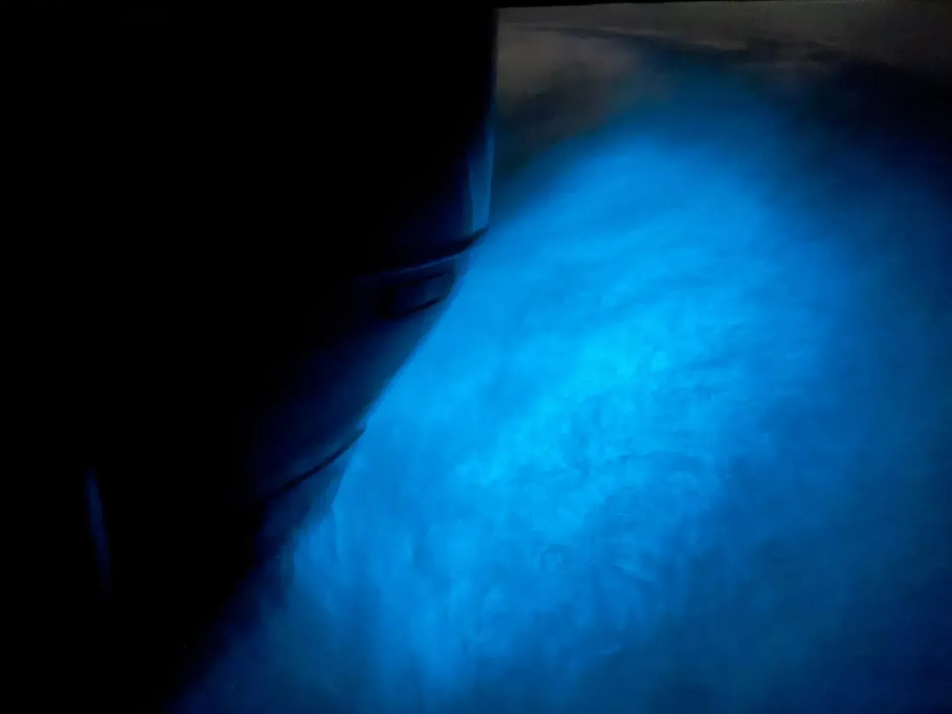 Dark water lit by blue bioluminescence reflecting on water, with a boat motor to the left.
