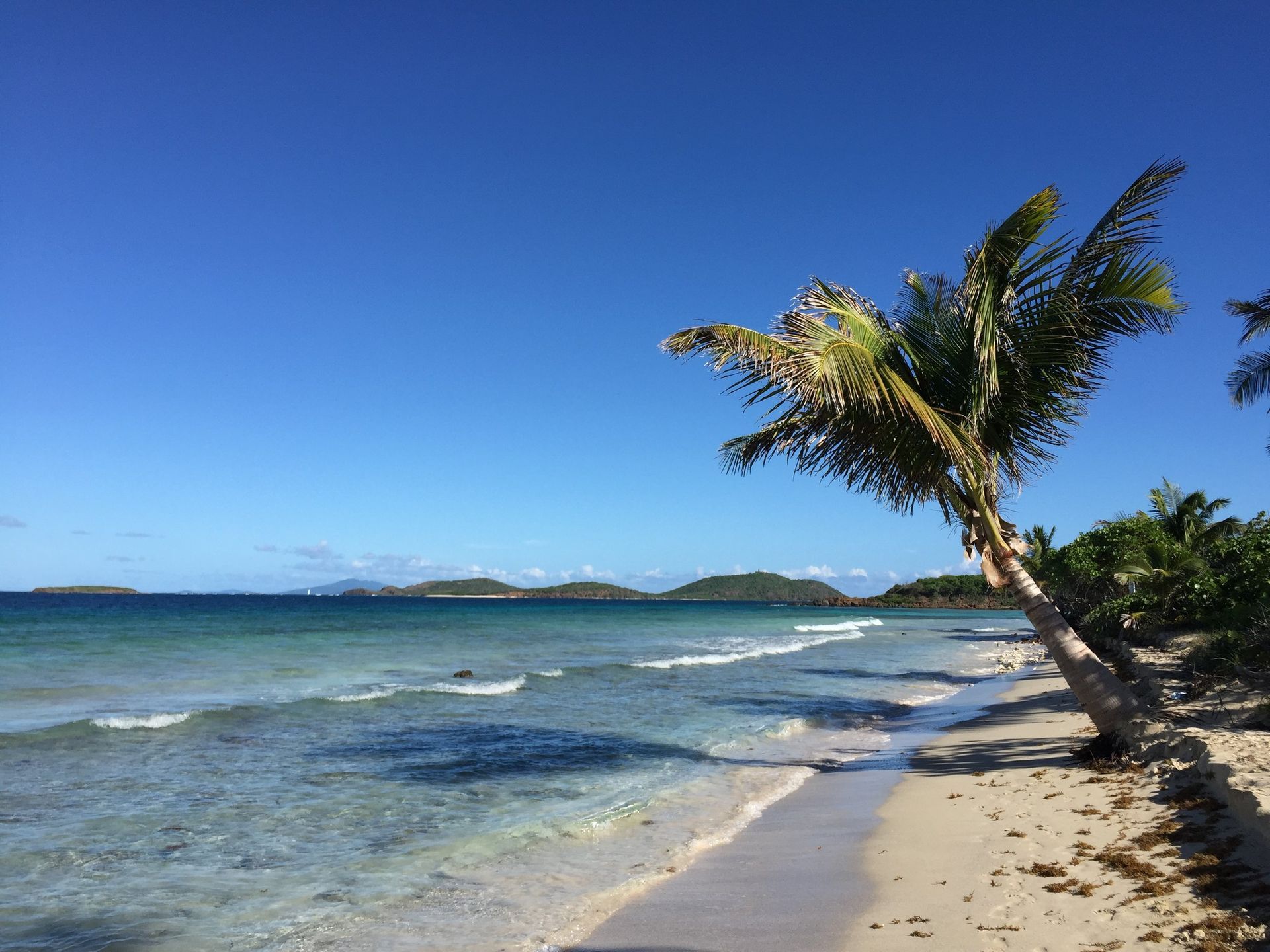 Tropical beach with clear blue water, white sand, and a leaning palm tree under a bright sky