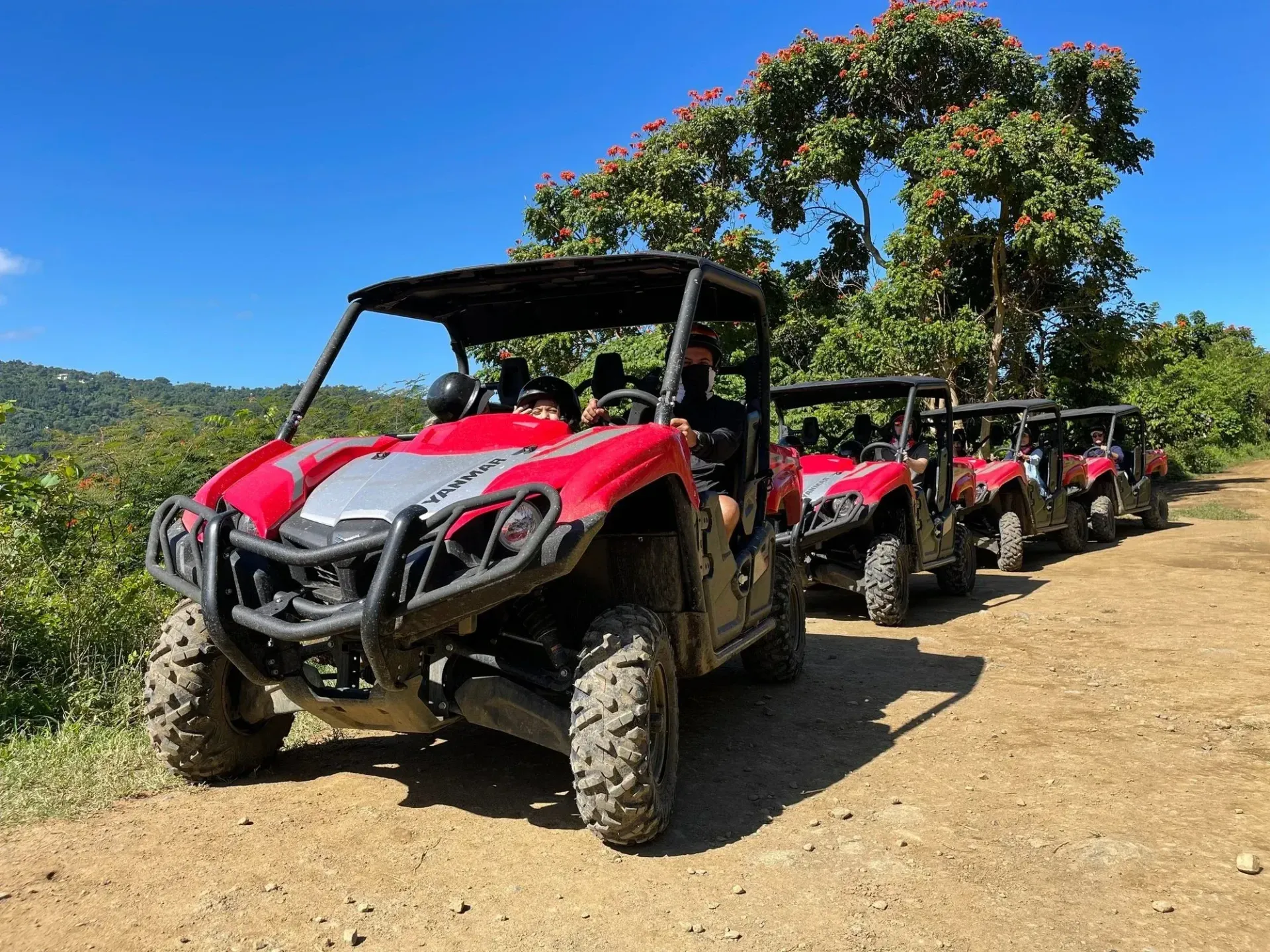 Red off-road buggies lined up on a dirt trail under a tree on a sunny hillside
