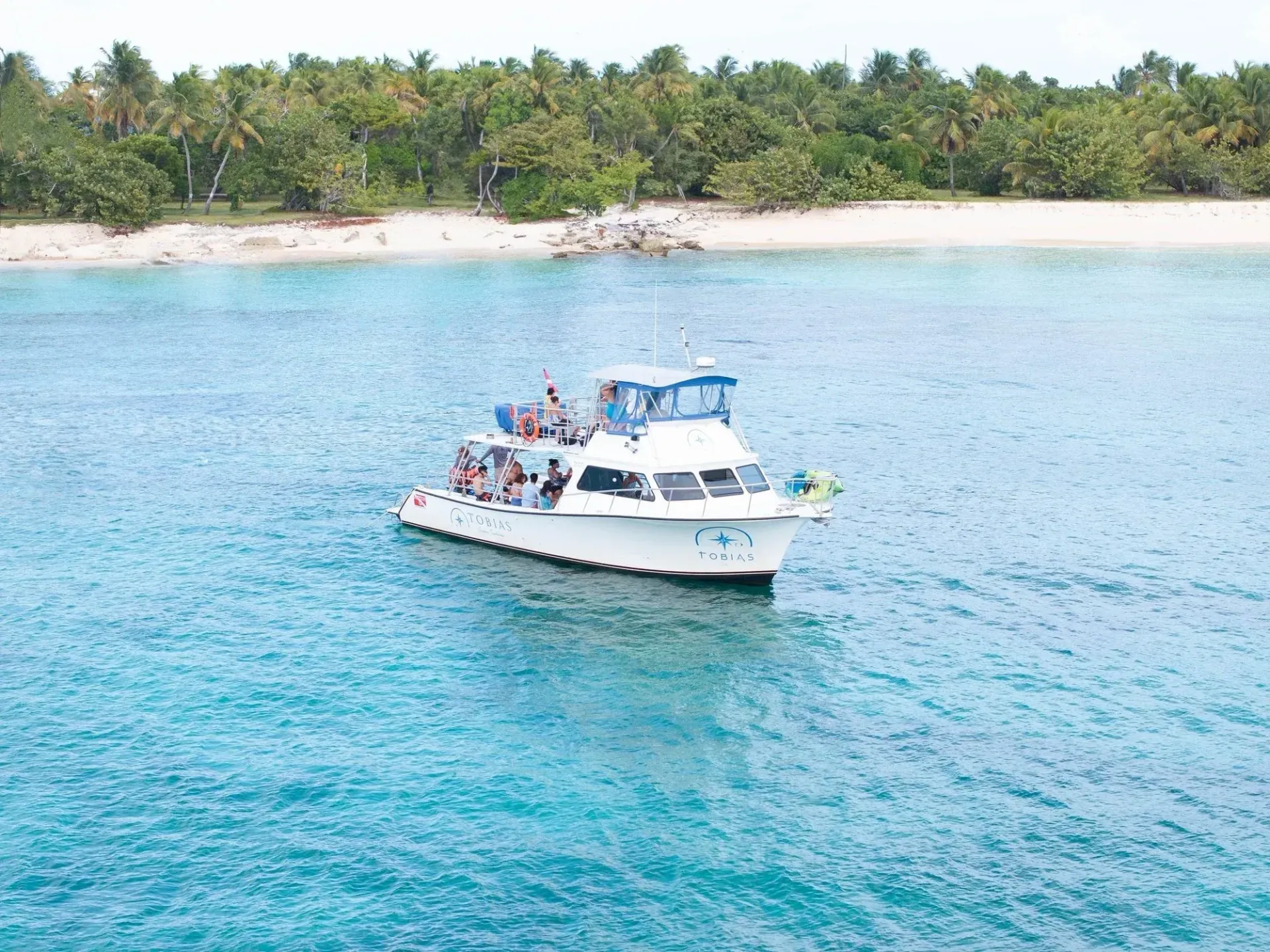 White boat with passengers on blue water near a tropical palm-lined shore