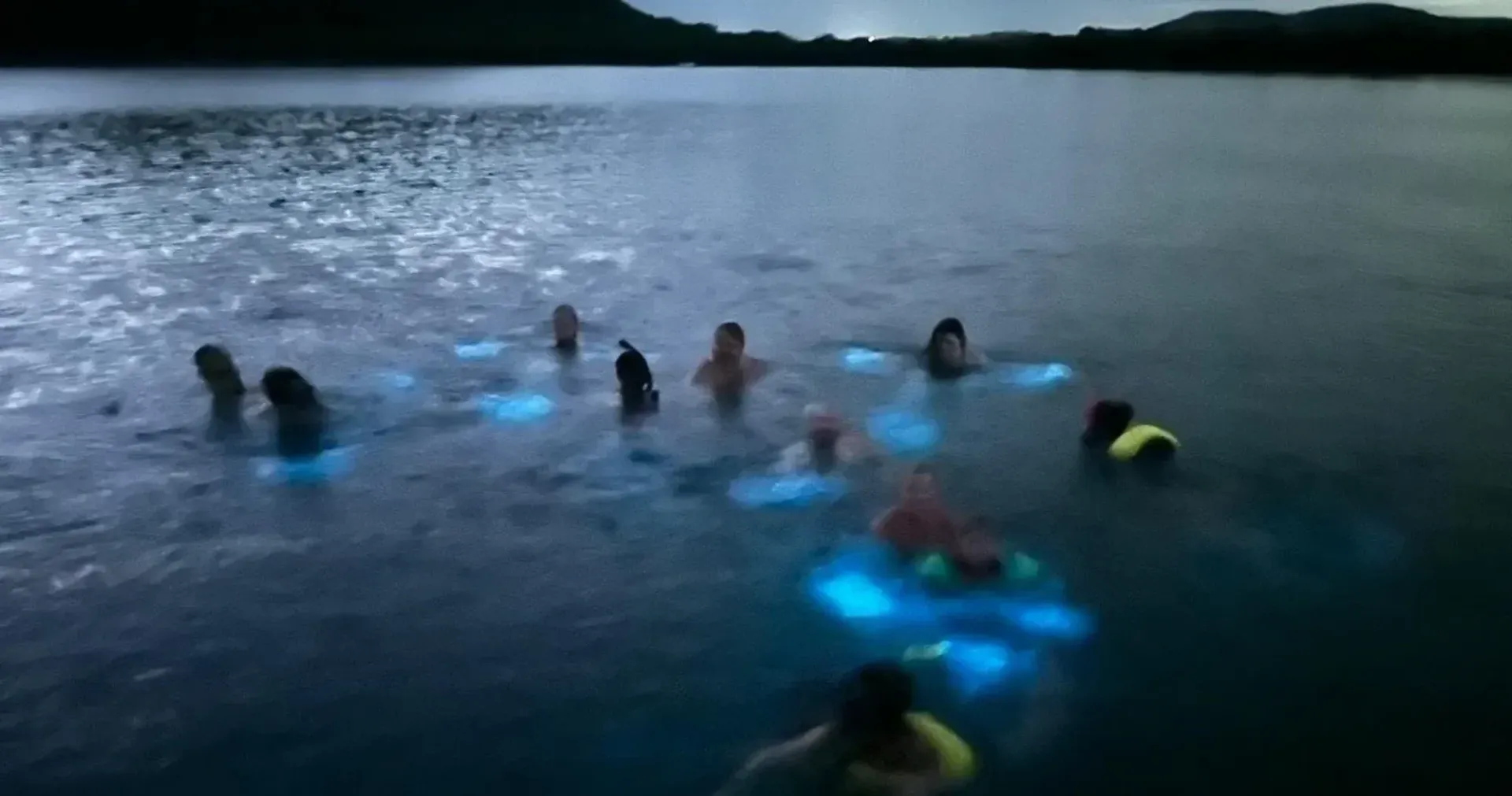 People swimming in a dark lake at dusk, glowing blue lights visible underwater