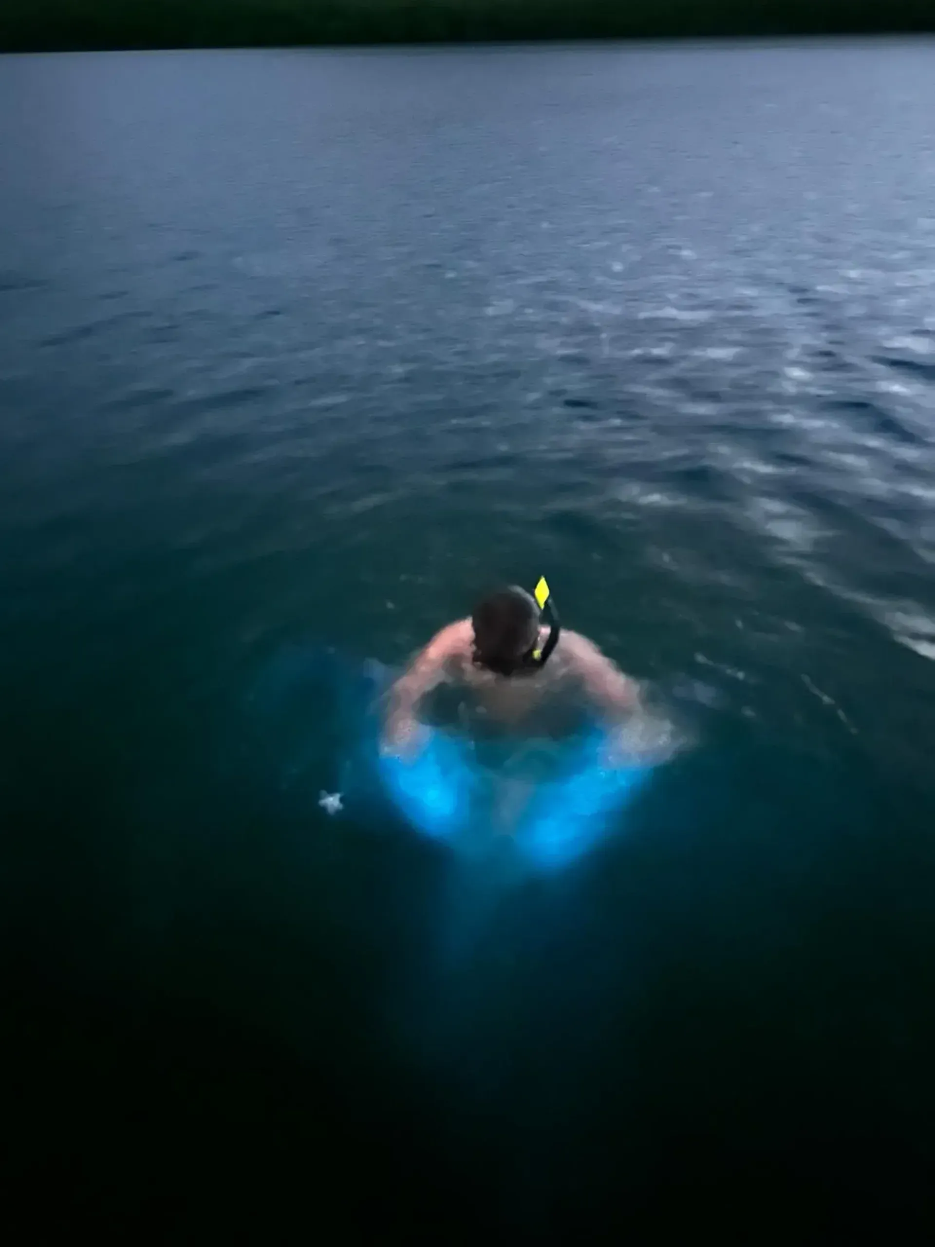 Person swimming at dusk with a bright blue glow in the water