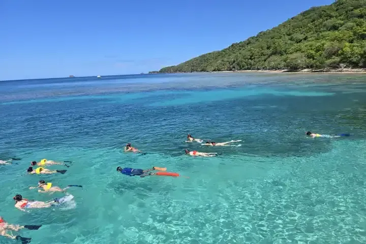 Snorkelers floating in clear turquoise water near a green tropical shoreline