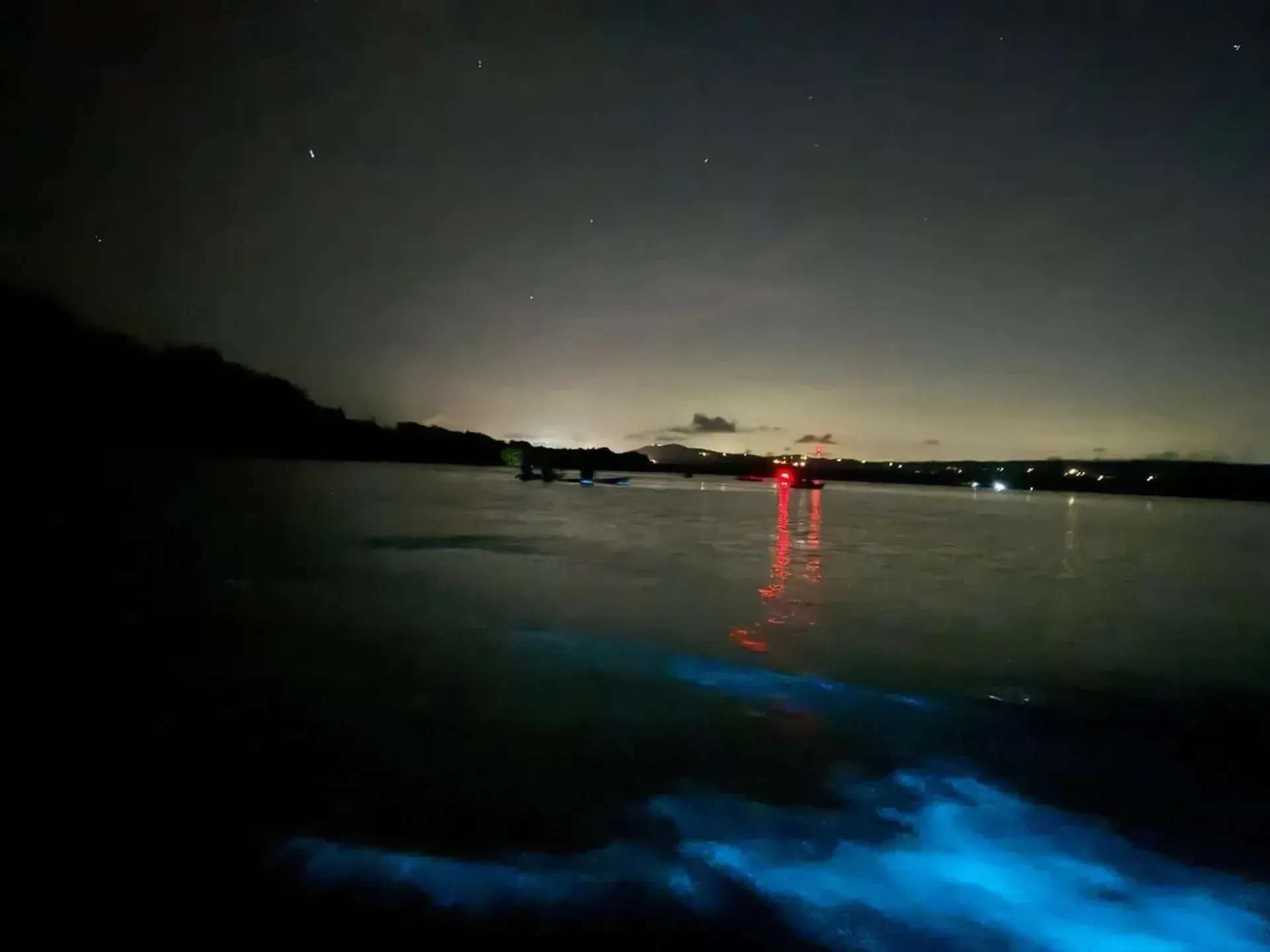Night harbor scene with red light reflections on calm water and blue glow in the foreground