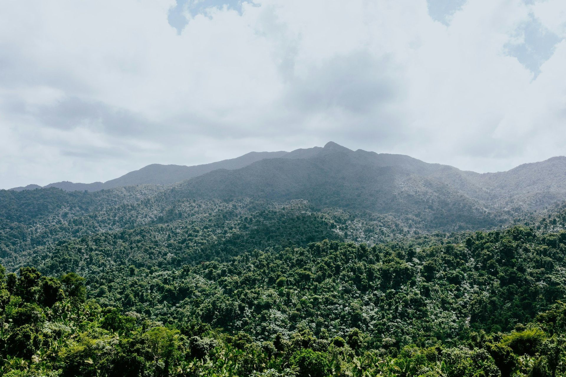 Lush green forested hills beneath a cloudy sky