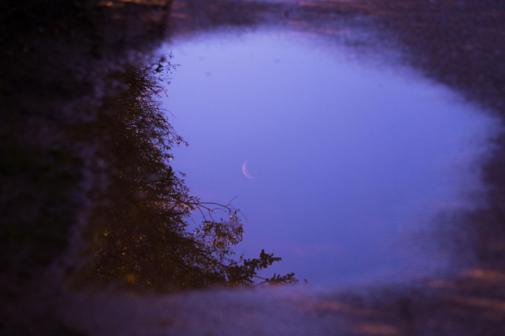 A small crescent moon over a purple-blue reflective lake at dusk, with dark silhouetted trees along the shore