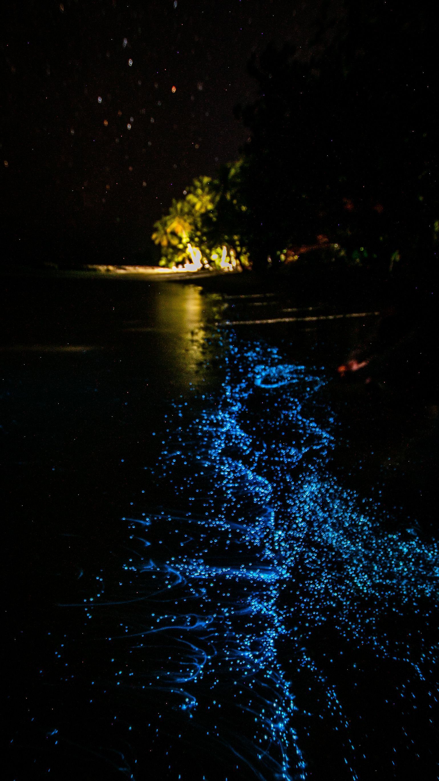 Night water scene with a bright yellow reflection and blue glowing sparks on the surface