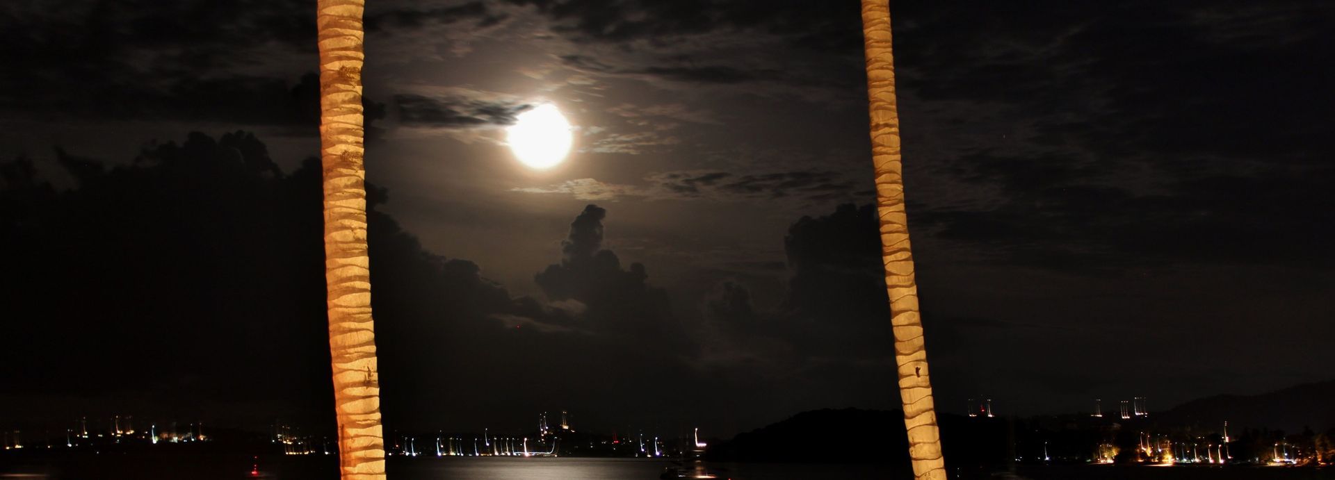 Moonlit night sky over a city skyline, framed by two tall palm trees