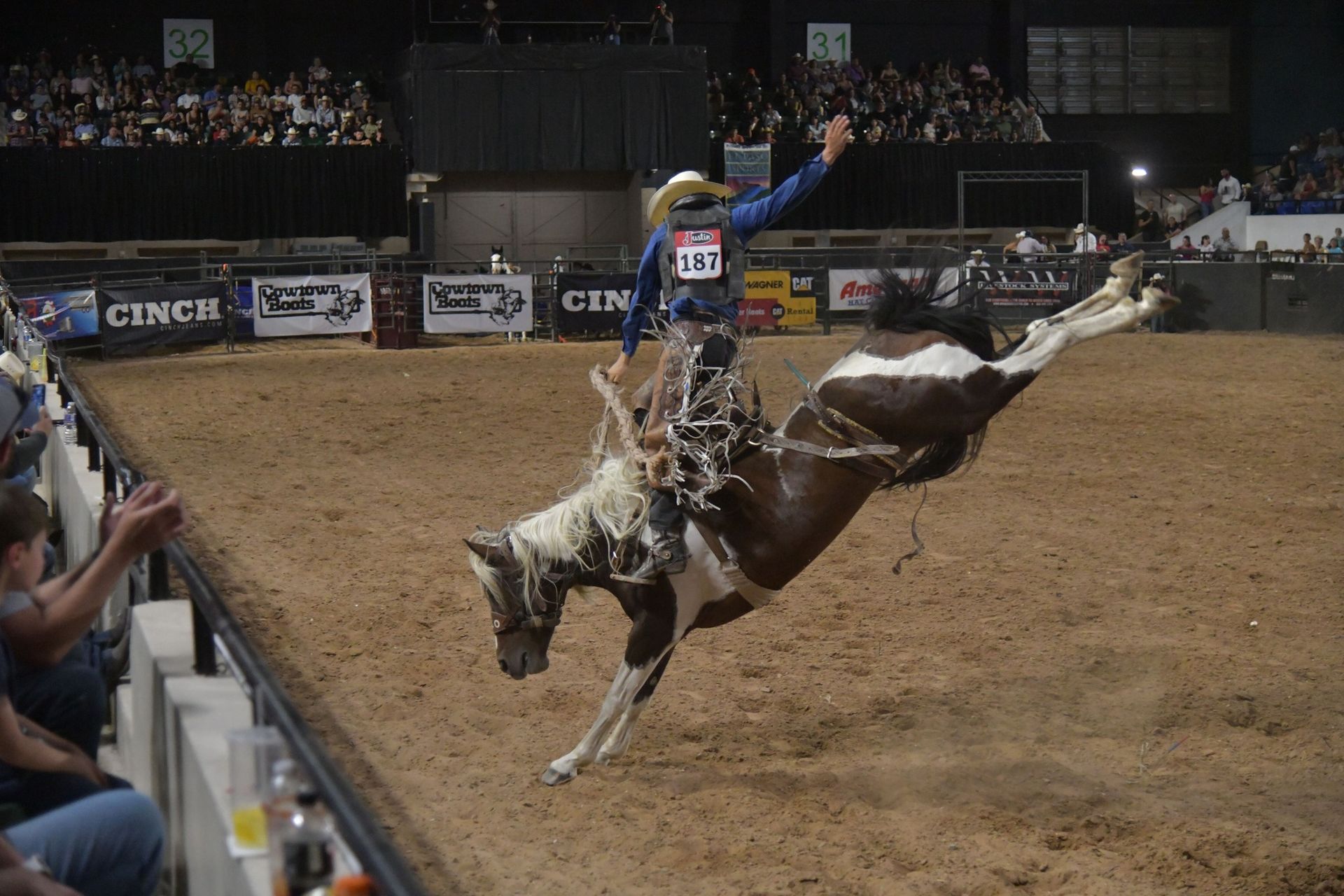 Cowboy riding a bucking horse at a rodeo. The horse is brown and white, and the cowboy wears a blue shirt and a cowboy hat.