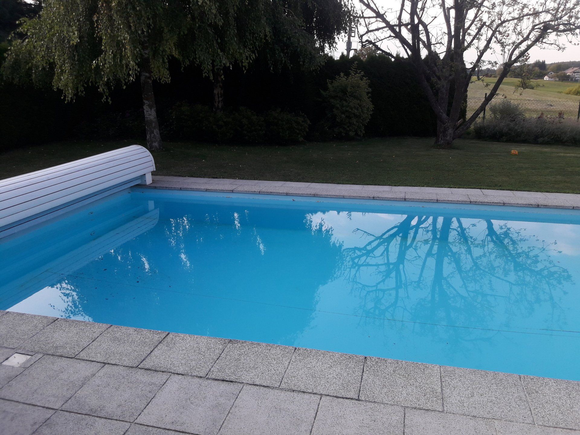 Schwimmteich-Naturpool