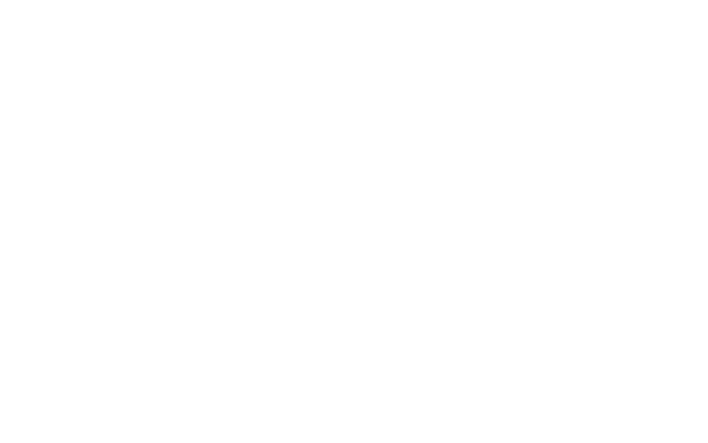 Lincoln Financial Group logo – established life insurance provider offering Indexed Universal Life (IUL) policies with flexible benefits and strong financial ratings