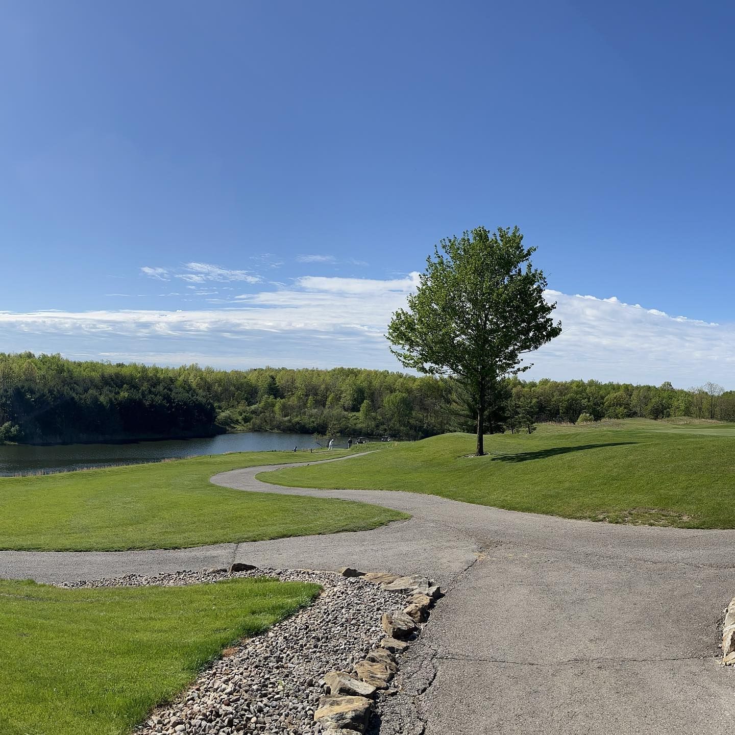 Scenic view: winding paved path through green grass, tree, lake, and blue sky.