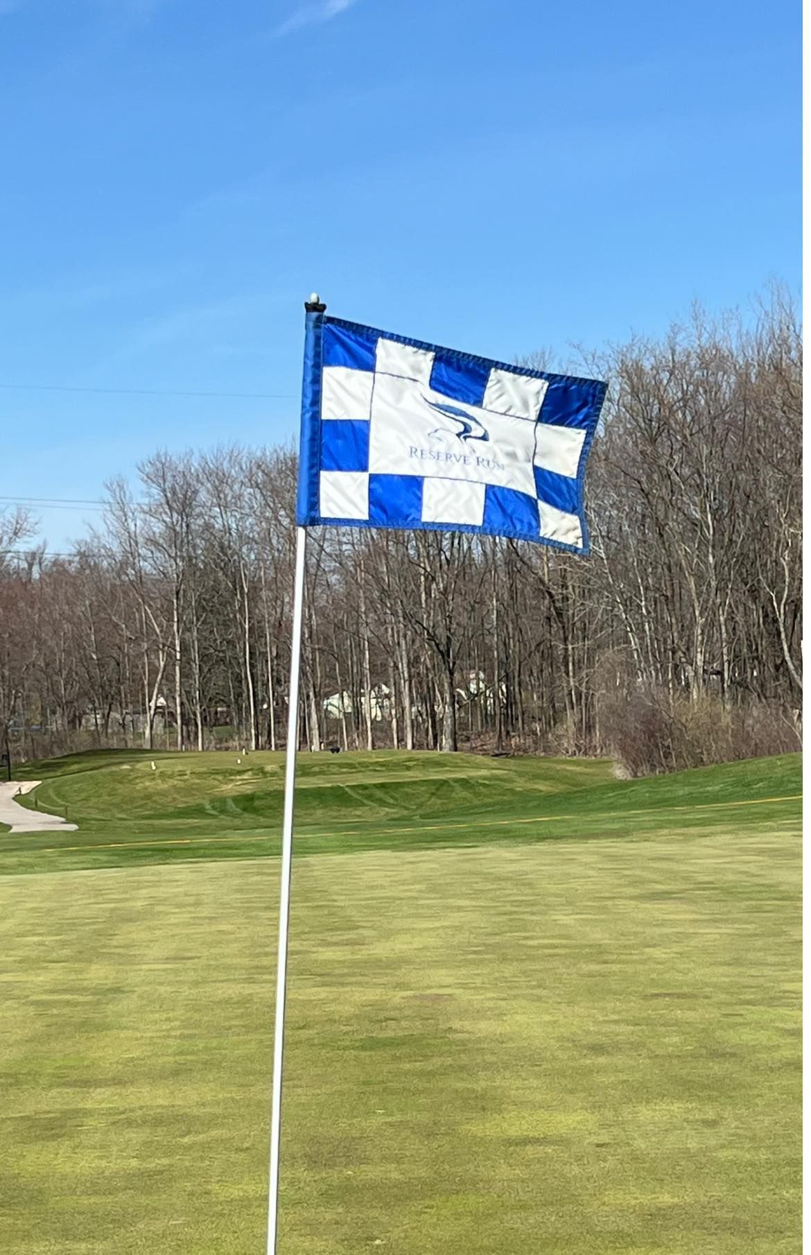 Golf flag on a green lawn with a checkerboard design of blue and white squares; trees in the background under a blue sky.