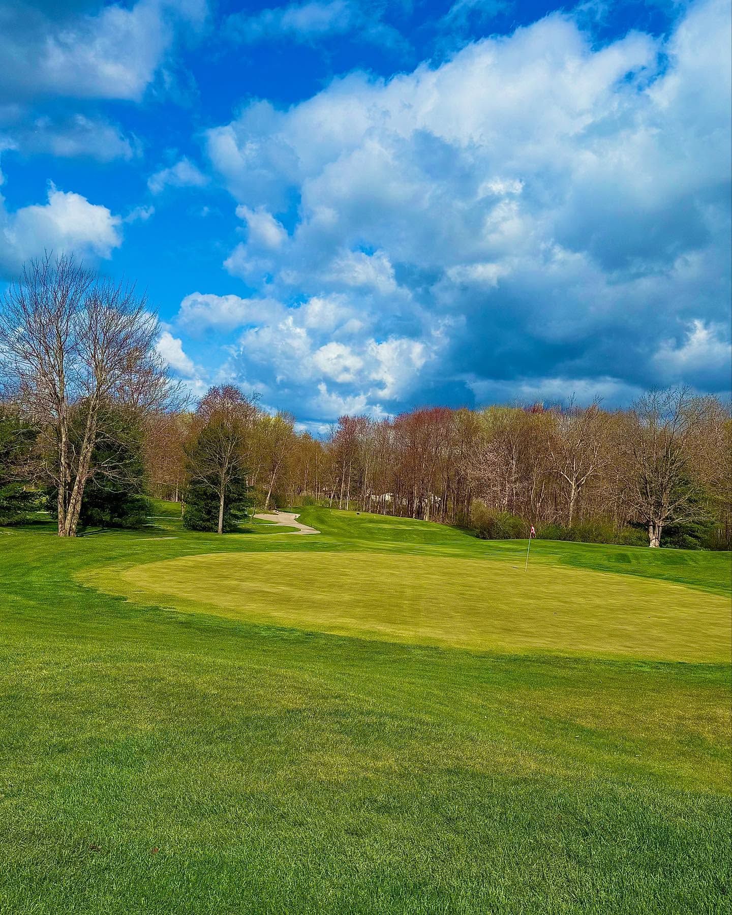 Green field with trees under a blue sky with white and gray clouds.