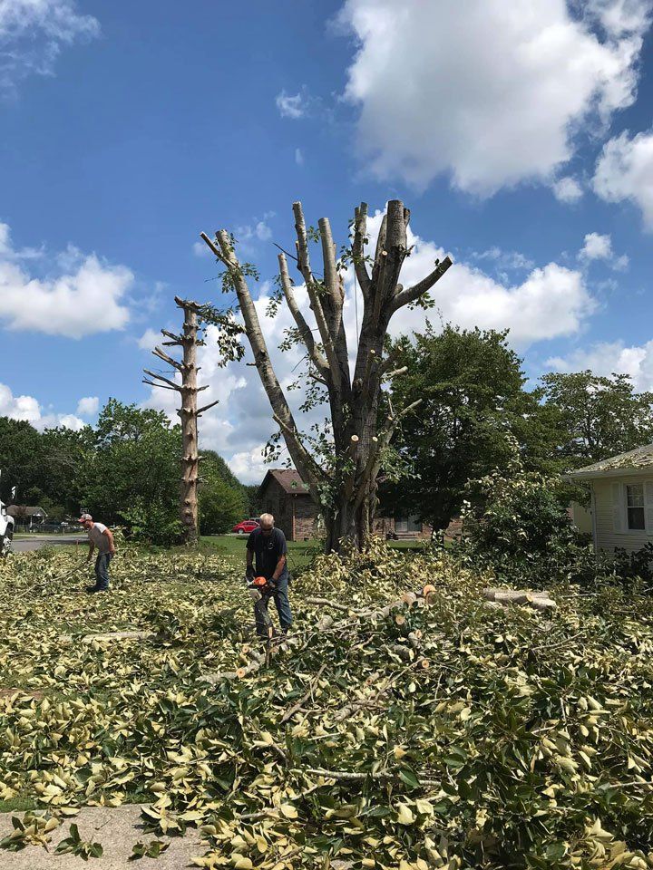 Cleaning Fallen Leaves — London, KY — A1 Nantz & Sons Tree Service