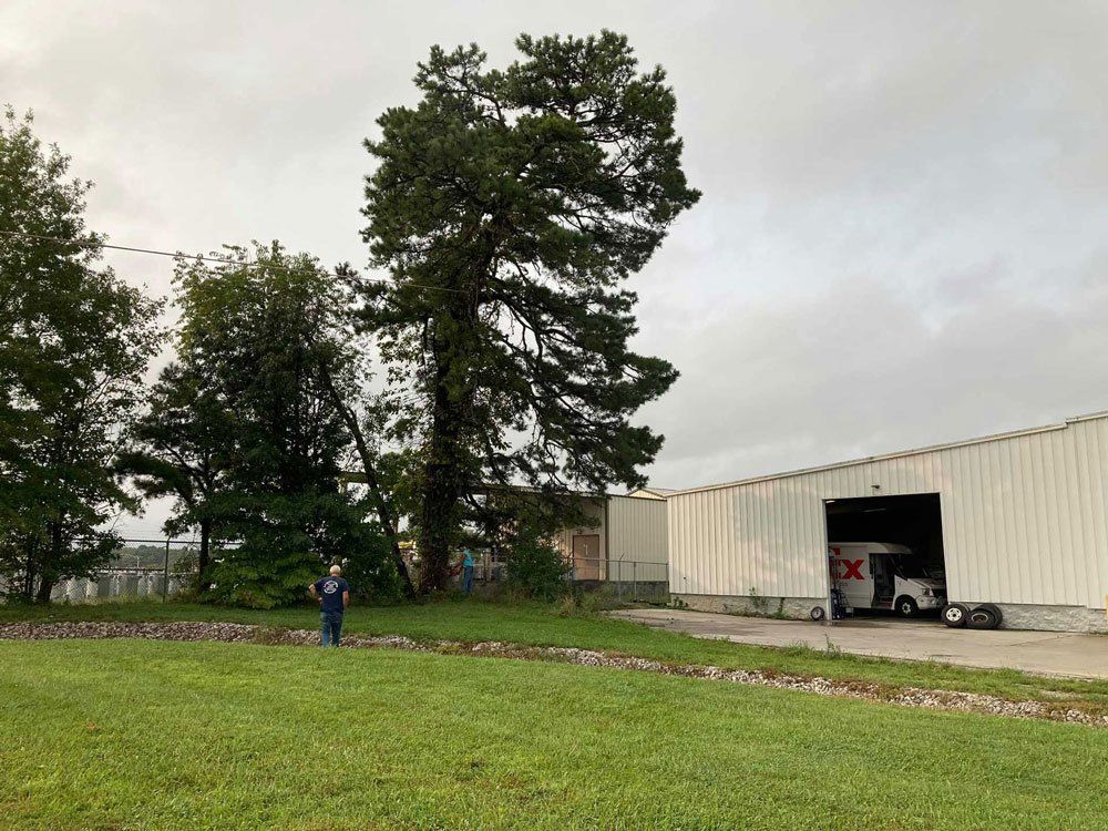 Large Lawn — London, KY — A1 Nantz & Sons Tree Service