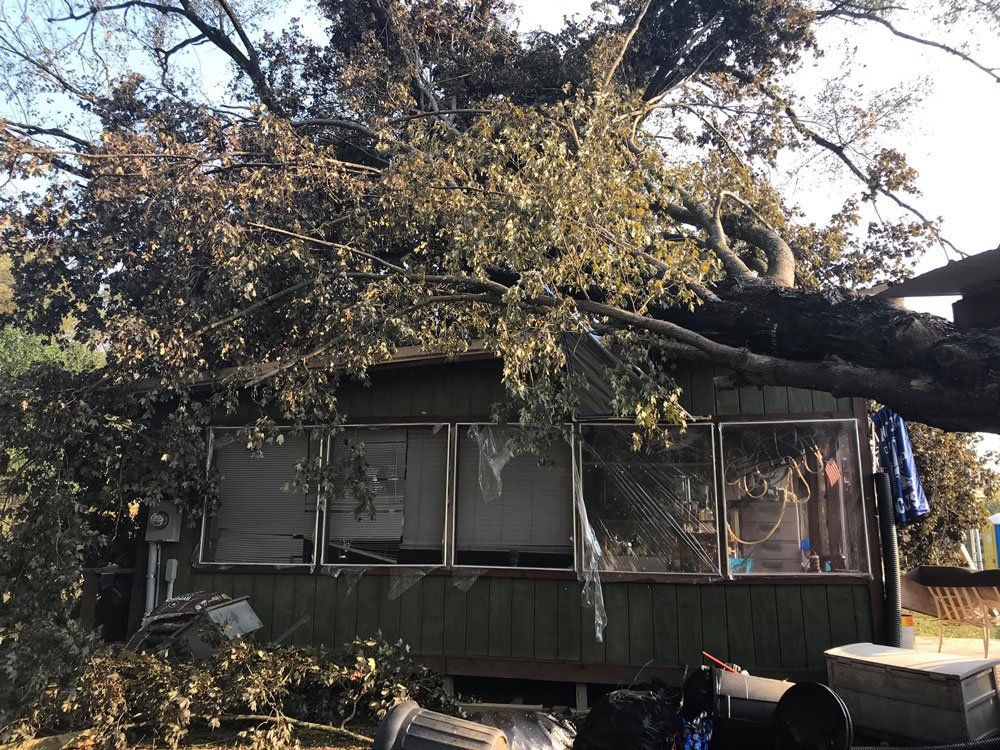 Large Tree On Top Of House — London, KY — A1 Nantz & Sons Tree Service