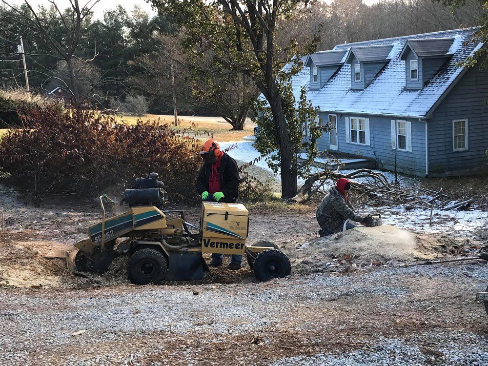 Stump Grinding — London, KY — A1 Nantz & Sons Tree Service