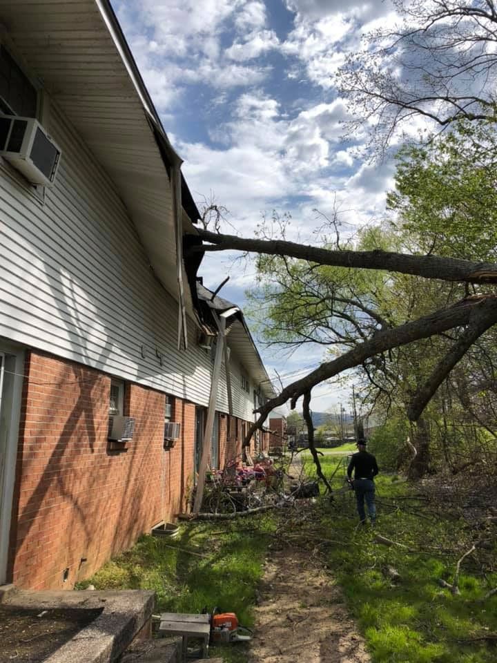 Tree Damage — London, KY — A1 Nantz & Sons Tree Service