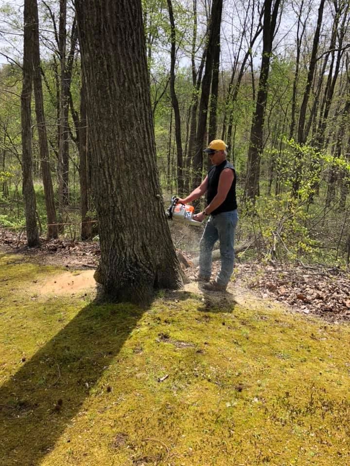 Cutting Large Tree — London, KY — A1 Nantz & Sons Tree Service