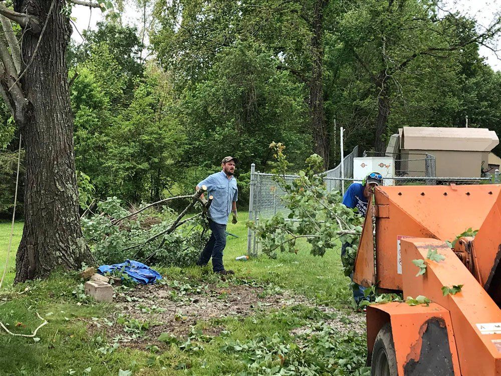 Man Pulling Tree Branches — London, KY — A1 Nantz & Sons Tree Service