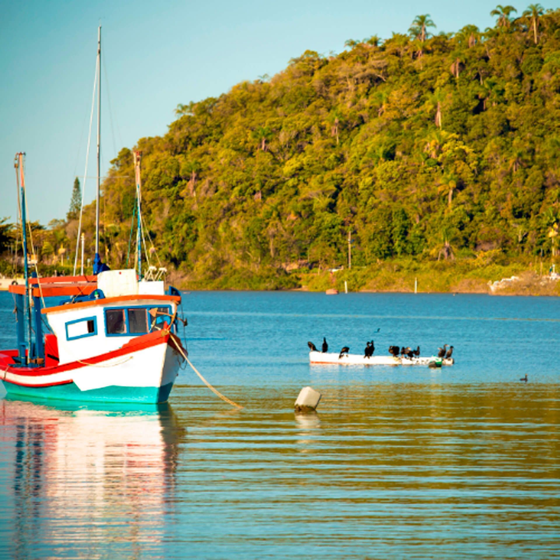 Um barco está amarrado a uma corda no meio de um corpo d'água