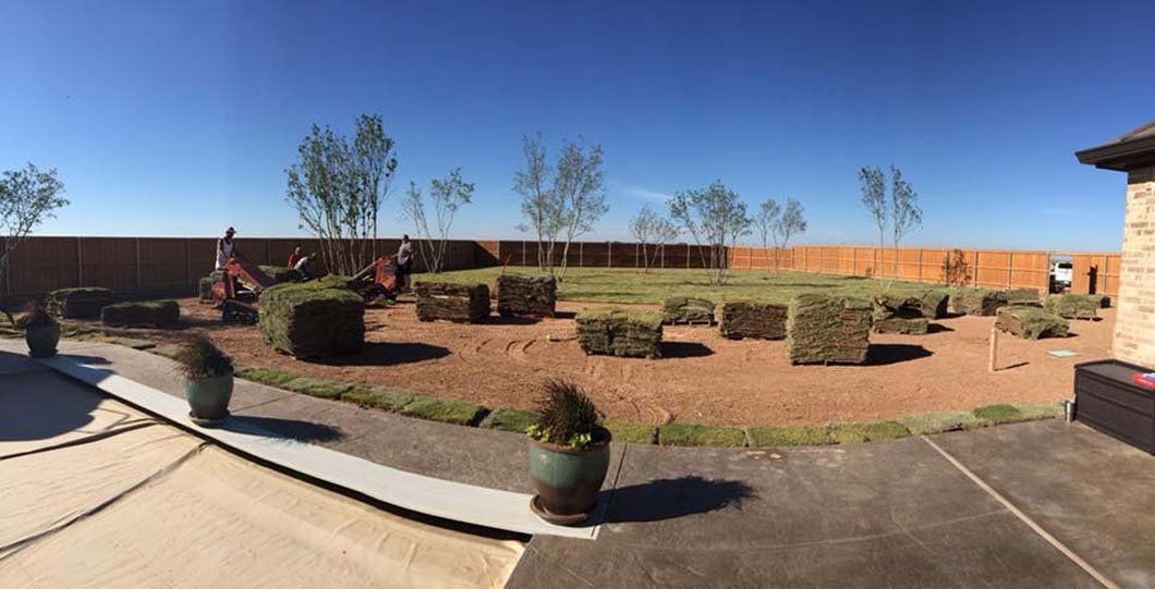 Removing Backyard Lawn