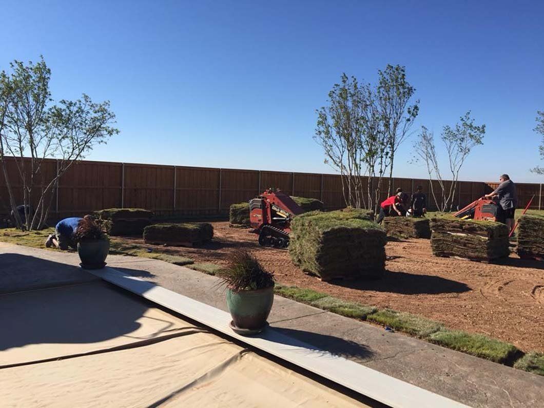 Preparing Backyard for Irrigation System