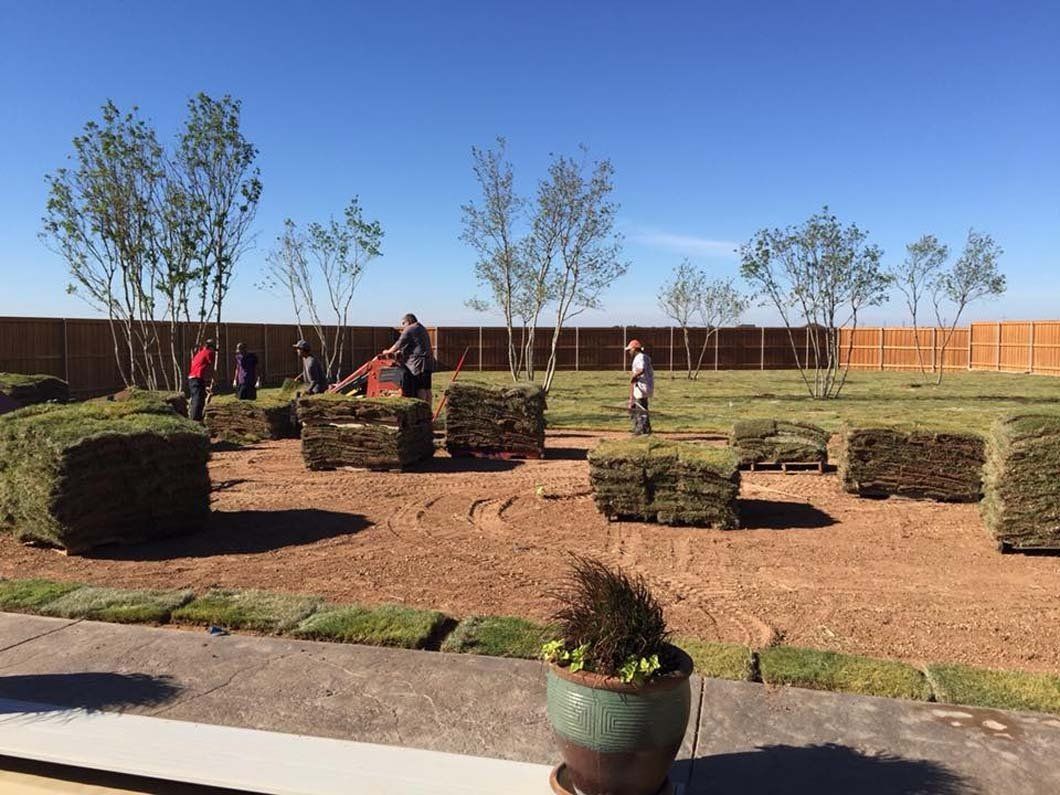 Worker Removing Residential Lawn